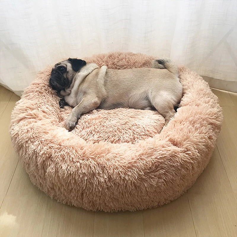 Pet Dog Bed Comfortable Donut Round Dog Kennel Ultra Soft Washable Dog and Cat Cushion Bed Winter Warm